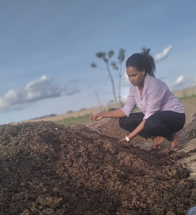 Organic Fertilizer 