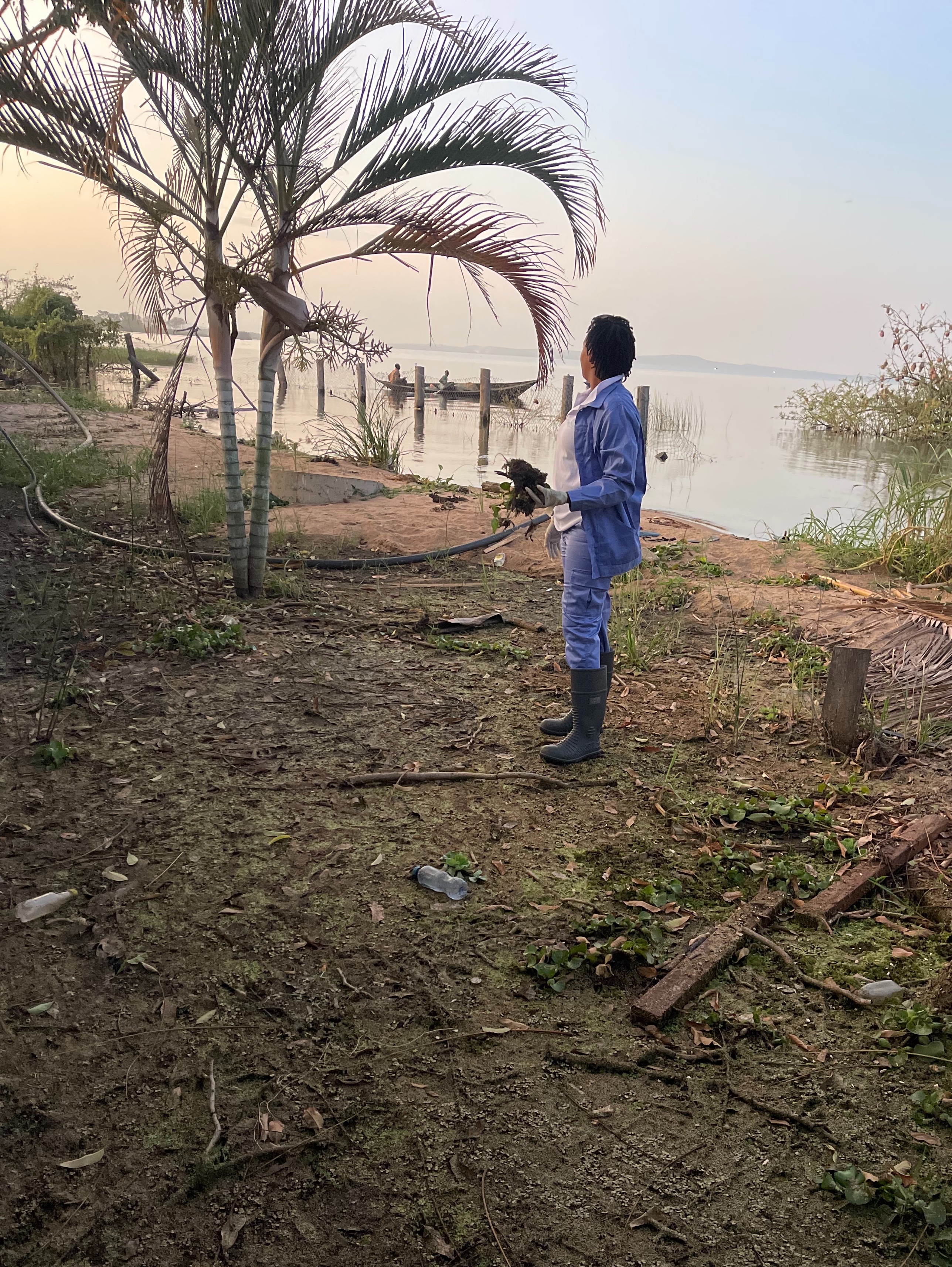 Collecting shoreline waste around Lake Victoria for compost production