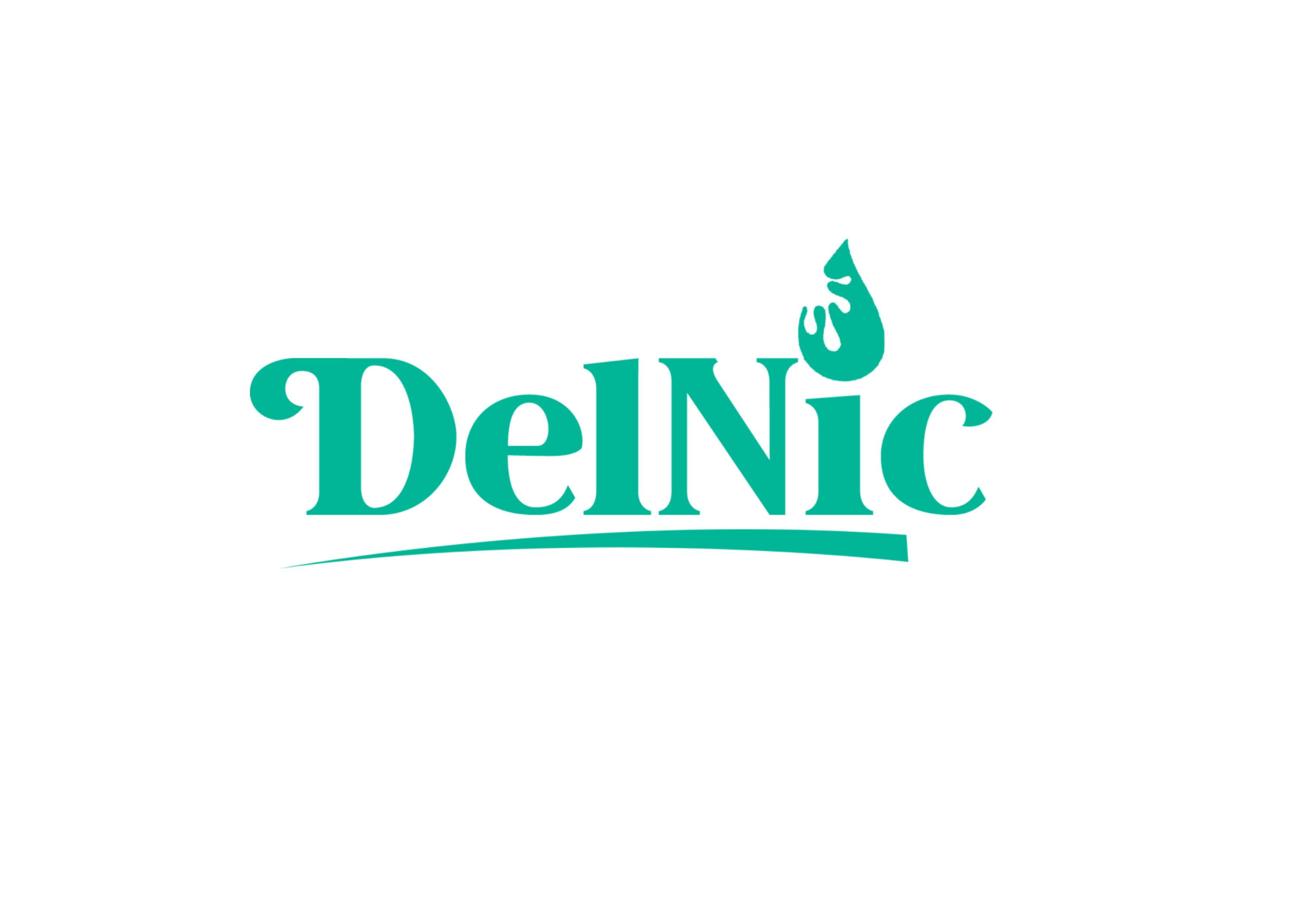 DelNic Logo