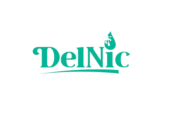 DelNic Logo